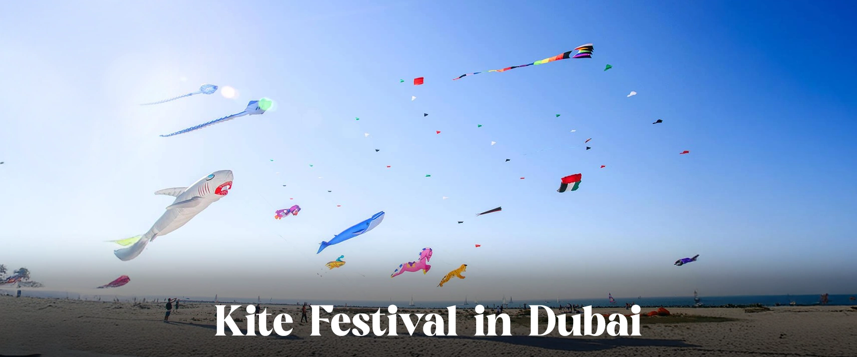 Kite Festival Sharjah: A Colorful Celebration in the Sky