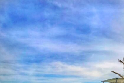 Guide to the Best Beaches in Abu Dhabi