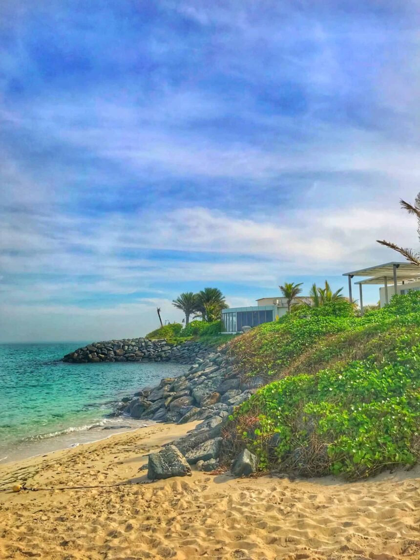 Guide to the Best Beaches in Abu Dhabi